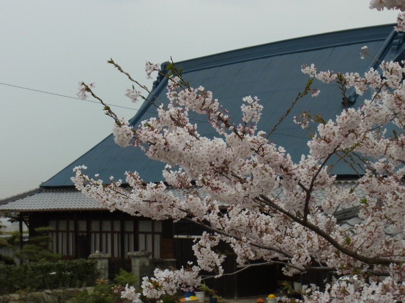 Img_bbc7bb676296796c9ac83cfc2ed16489