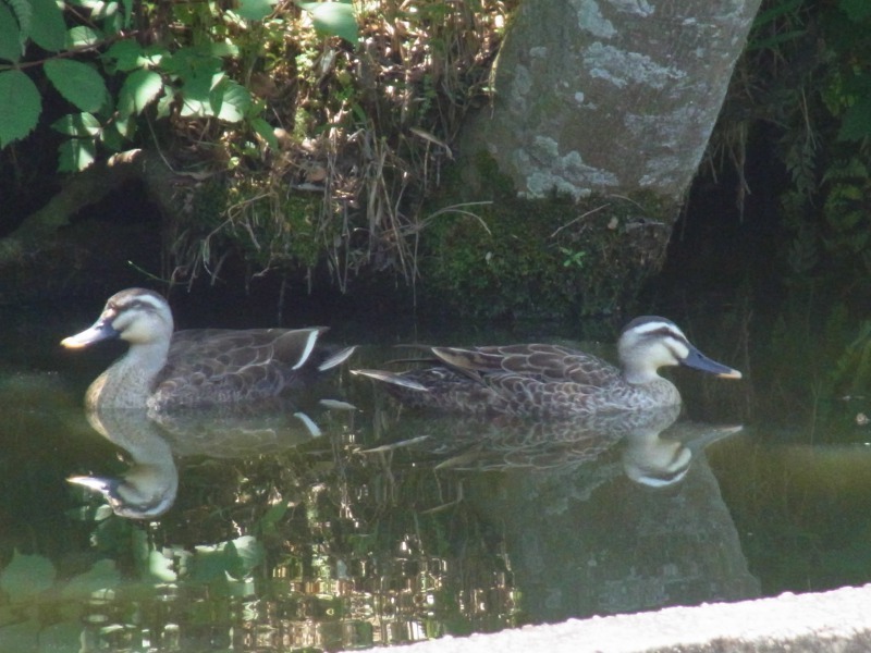 Img_e17551d6d74526de94d3d4b8458bfd40