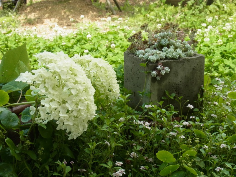 Img_a7d5cadd3c1b7e9cc7bd3644b9c5a75d