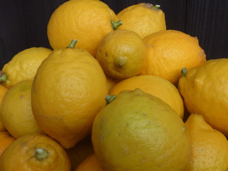 Img_ec547845df9455ea447ca3dca3fbefc0