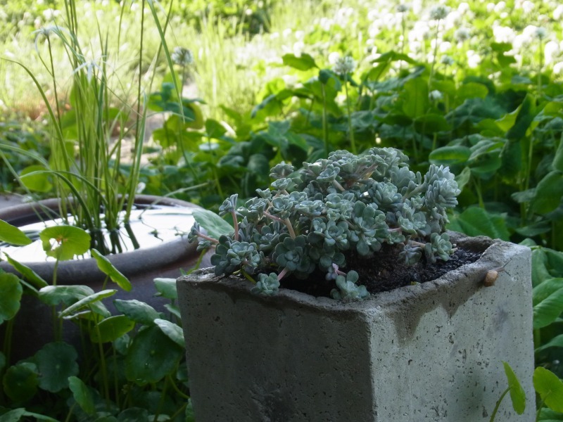 Img_f7ca36be059a2790dcffcbd21ed5537a